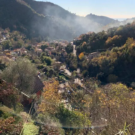 Vigna