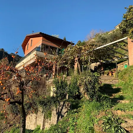 Vigna Villa